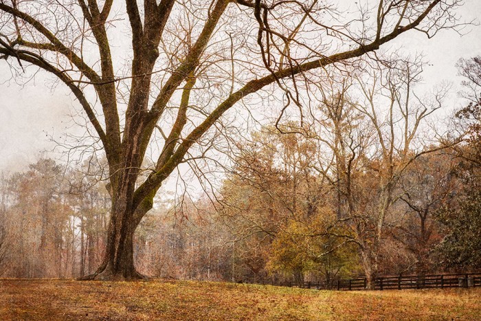 Standing Strong in Winter