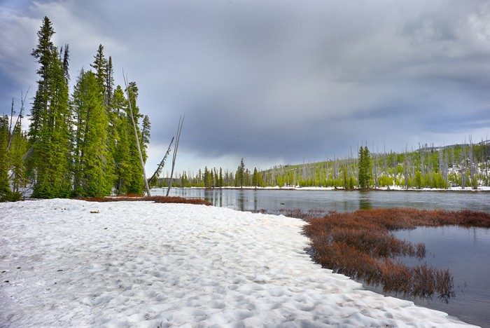 Hope Springs Eternal - YNP Near South Entrance