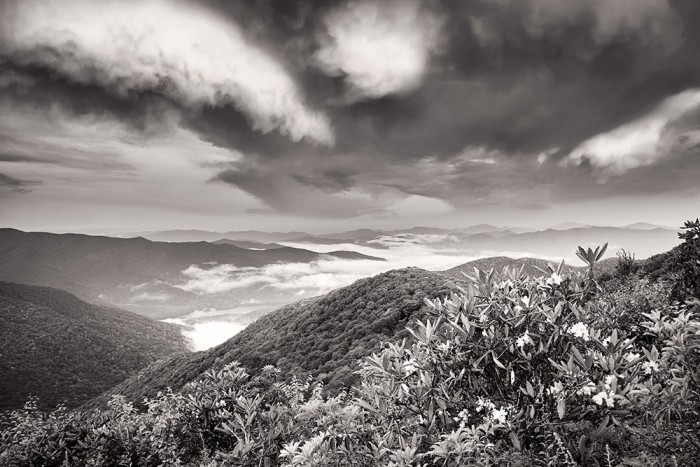 Descending Skies near Craggy Gardens - Blue Ridge Parkway (North of Asheville)
