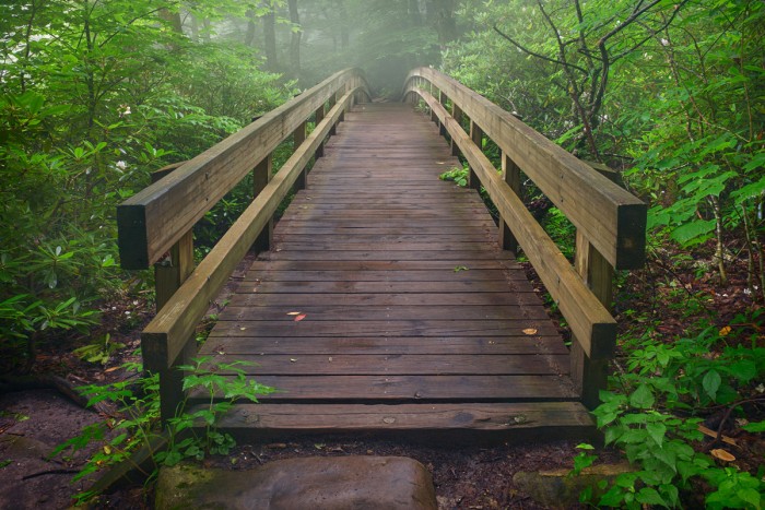 Foot Bridge on Rough Ridge Trail, Blue Ridge Parkway