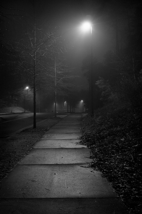 Night Fog Rolling In