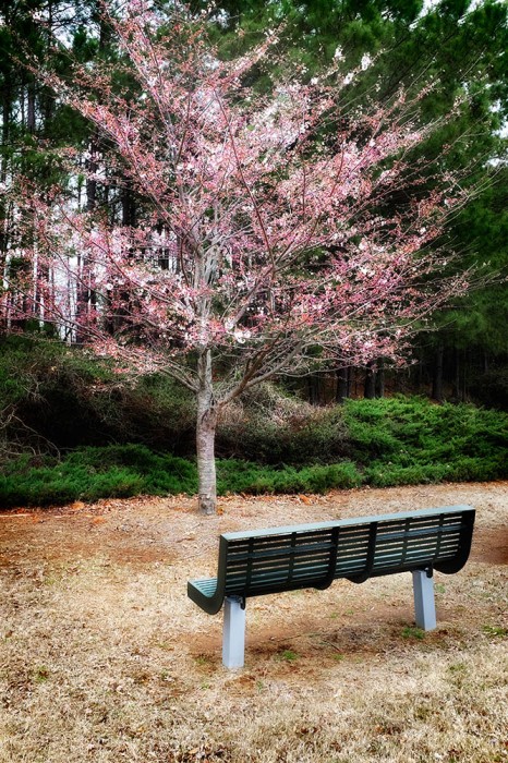 Front Row Seat to Spring's Arrival