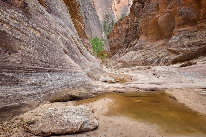Oasis - Zion's Observation Point Trail