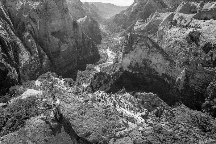 View From The Top - Zion's Observation Point