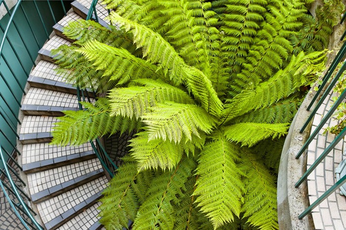 Embarcadero Center #2