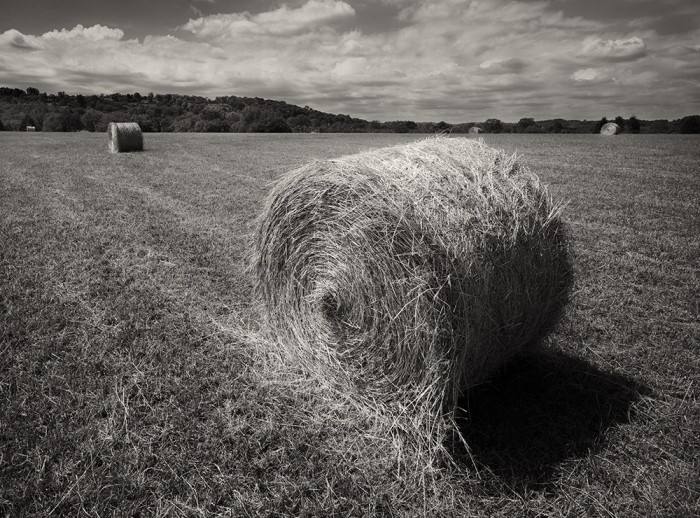 Bales of Hay