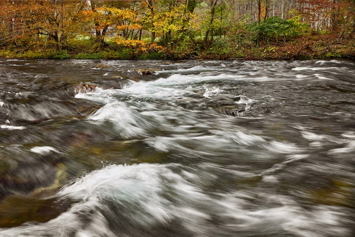Trout Stream - Burnsville, NC